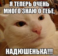 Я теперь очень много знаю о тебе, Надюшенька!!!