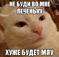 не буди во мне печеньку хуже будет Мяу