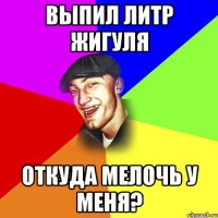 Выпил литр жигуля Откуда мелочь у меня?