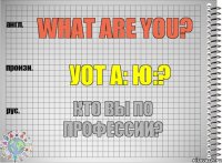 What are you? уот а: ю:? Кто Вы по профессии?