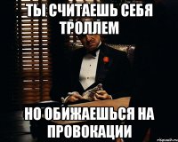 Ты считаешь себя троллем Но обижаешься на провокации