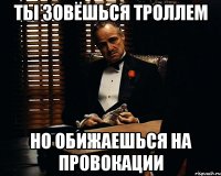 Ты зовёшься троллем Но обижаешься на провокации