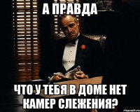 а правда что у тебя в доме нет камер слежения?