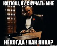 Катюш, ну скучать мне Некогда ! Как янка?