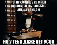 ты приходишь ко мне и спрашиваешь как быть альфа-самцом но у тебя даже нет усов