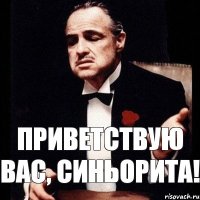 Приветствую вас, синьорита!