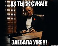 Ах ты ж сука!!! Заебала уже!!!