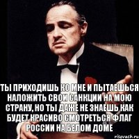 Ты приходишь ко мне и пытаешься наложить свои санкции на мою страну, но ты даже не знаешь как будет красиво смотреться флаг России на белом доме