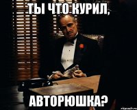 ТЫ ЧТО КУРИЛ, АВТОРюшка?