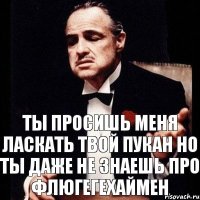 ТЫ ПРОСИШЬ МЕНЯ ЛАСКАТЬ ТВОЙ ПУКАН НО ТЫ ДАЖЕ НЕ ЗНАЕШЬ ПРО ФЛЮГЕГЕХАЙМЕН