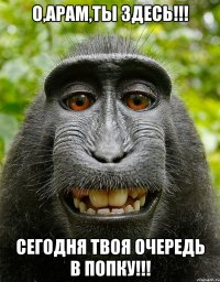 О,АРАМ,ТЫ ЗДЕСЬ!!! СЕГОДНЯ ТВОя ОЧЕРЕДЬ В ПОПКУ!!!