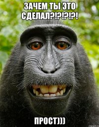 Зачем ты это сделал?!?!?!?! Прост)))