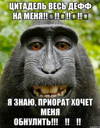 Цитадель весь дефф на меня‼️‼️‼️‼️ Я знаю, Приорат хочет меня обнулить!‼️‼️‼️