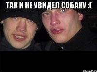 Так и не увидел собаку :( 