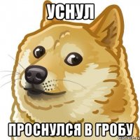 уснул проснулся в гробу