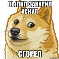 Выпил Закурил Уснул Сгорел