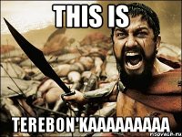 THIS IS TEREBON'KAAAAAAAAA