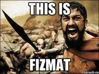 THIS IS FIZMAT