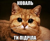 коваль ти підріла