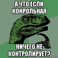 а что если конрольная ничего не контролирует?