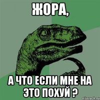 Жора, а что если мне на это похуй ?