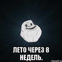  Лето через 8 недель.