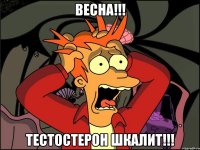 Весна!!! Тестостерон ШКАЛИТ!!!