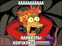 ааааааааааа КАНИКУЛЫ КОНЧИЛИСЬ!!!!!!!!!!!