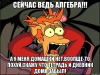 Сейчас ведь алгебра!!! А у меня домашки нет.Воопще-то похуй,скажу что тетрадь и дневник дома забыл!