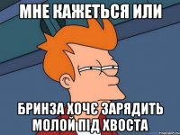 мне кажеться или бринза хочє зарядить молой під хвоста