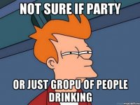 Not sure if party Or just gropu of people drinking