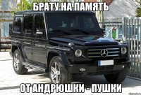 Брату на память От Андрюшки - пушки