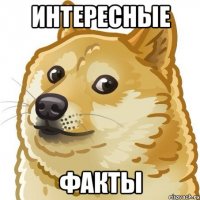 Интересные Факты