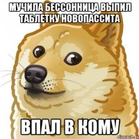 мучила бессонница выпил таблетку новопассита впал в кому