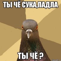 Ты чё сука,падла Ты чё ?