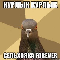 курлык курлык сельхозка forever