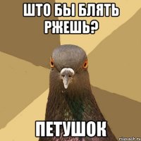 што бы блять ржешь? петушок