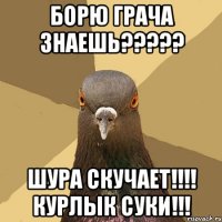 Борю Грача знаешь????? Шура скучает!!!! Курлык суки!!!