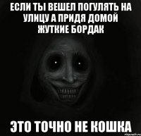 Если ты вешел погулять на улицу а придя домой жуткие бордак Это точно не кошка