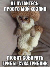 не пугайтесь, просто мой хозяин любит собирать грибы. сука грибник