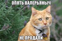 опять валерьяныч не продали