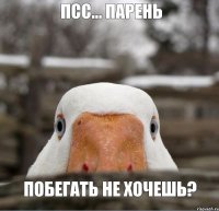 псс... парень побегать не хочешь?