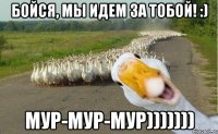 Бойся, мы идем за тобой! :) МУР-МУР-МУР)))))))