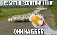 ребятки ребятки!!1!11!!! ОНИ на ББББ