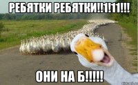 ребятки ребятки!!1!11!!! ОНИ на б!!!!!