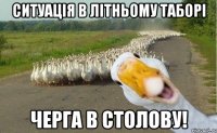 ситуація в літньому таборі черга в столову!