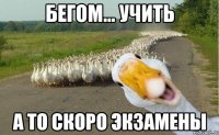 Бегом... Учить А то скоро экзамены