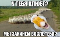 У тебя клюёт? мы закинем возле тебя?