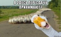 а здесь пересдачу принимают? 