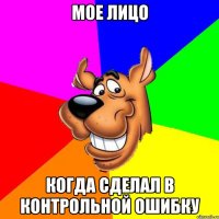 Мое лицо Когда сделал в контрольной ошибку